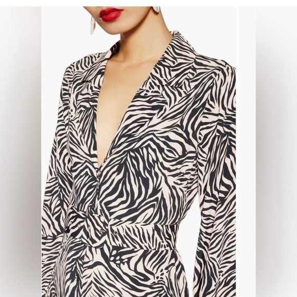 Top shop Blush Pink and Black Pleated Animal/Zebra Print Dress - Picture 3 of 6